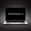 Tradera Domännamn AMERIKANSK.SE
