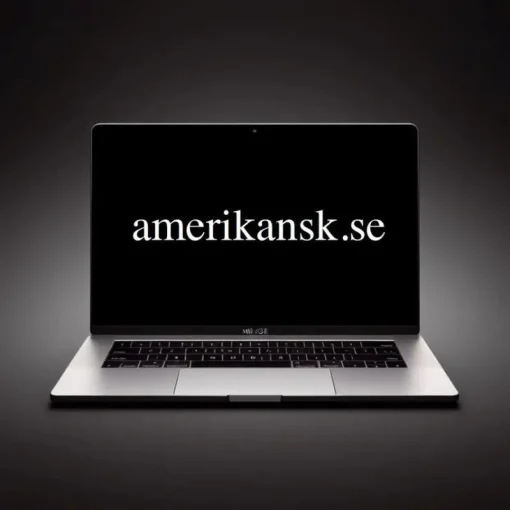 Tradera Domännamn AMERIKANSK.SE