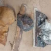 Tradera 4 mindre Trävrilar / Skop ämnen^ Hobbymaterial