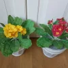 Tradera Konstgjorda Växter<2 st Konstgjorda blommor i Kruka , Gul-Röd