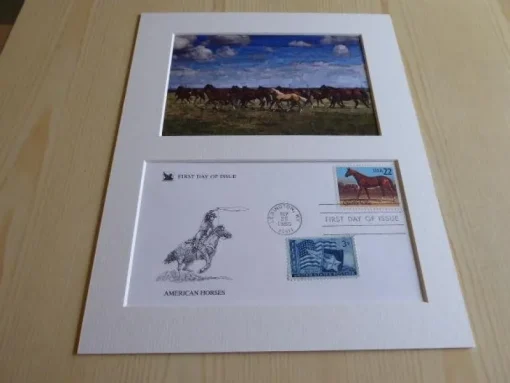 Tradera American Horses Texas häst konstfotografi & USA förstadagsbrev med passepartout^ Nordamerika