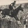 Tradera Olympia<Cigarette Picture Card Olympics 1932-Horse jumping