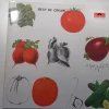 Tradera CREAM - Best of, LP omslag Polydor Tyskland 1969^ Skivomslag