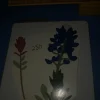 Tradera Die cut stans^ Scrapbooking