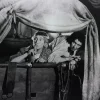 Tradera Harpo och Chico Marx fotografi^ Filmmemorabilia