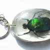 Tradera Häftig skalbagge nyckelring - PRESENT!! -^ Accessoarer