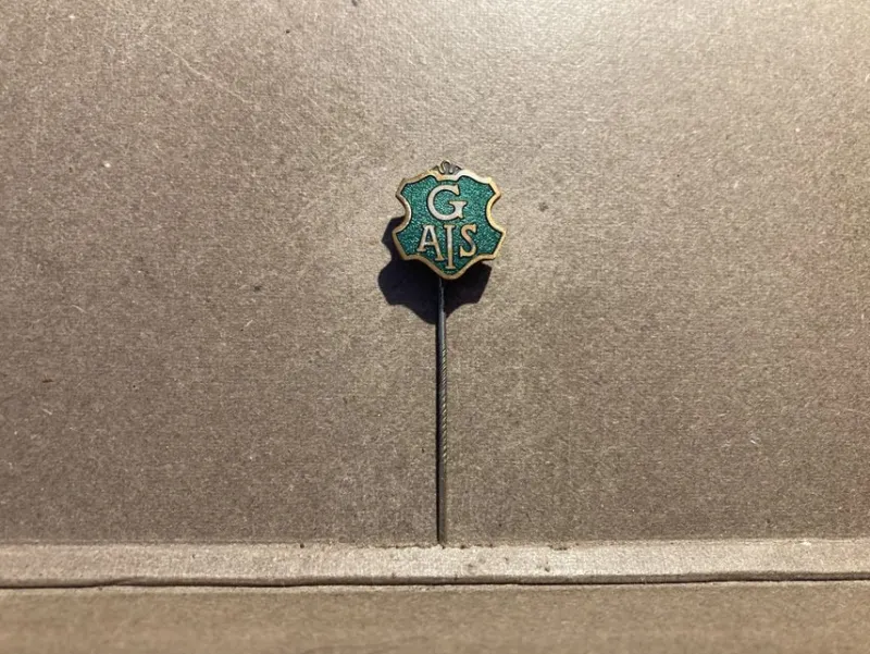 Tradera Pins & Nålar<Klubbnål Gränna AIS, Jönköping, Småland