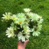 Tradera Konstgjorda Växter<Konstgjord blombukett bukett gröna snittblommor fakeväxt konstväxt