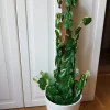 Tradera Konstgjorda Växter<Konstträd