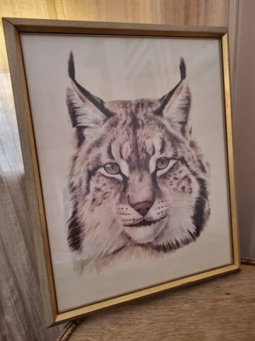 Tradera Lynx Lodjur i ram^ Övrig Konst