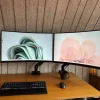 Tradera MSI Optix MAG321CURV 31.5 tum 240 hz med justerbar arm (höjd, snurr och lutning)> Bildskärmar