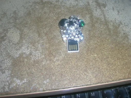 Tradera NYTT gulligt USB minne 32 GB silver koala> Extern Lagring