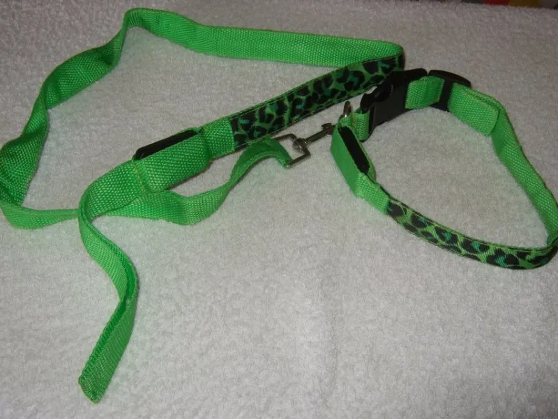 Tradera Husdjurstillbehör<Nytt Hundkoppel och Halsband med belysning