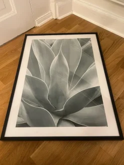 Tradera Photo canvas with frame, 70x50cm^ Fotokonst