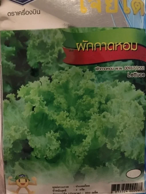 Tradera Växter & Frön<Sallad från Thailand (ca 100 frön)