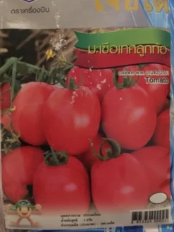 Tradera Växter & Frön<Små söta tomater från Thailand (5 frön)