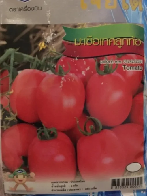 Tradera Växter & Frön<Små söta tomater från Thailand (5 frön)