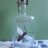 Tradera Snapsflaska > Glas