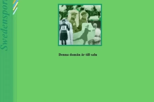 Tradera Domännamn<swedensport.com domännamn