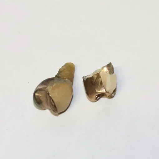 Tradera Smyckestillbehör<Tandguld 18k bv 3,9g, 22636:13, U 26694