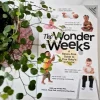 Tradera The Wonder Weeks - En bok om barnets olika utvecklingsfaser> Graviditets- & Barnböcker