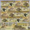 Tradera Tokelau 2007 Fåglar 4x4v i helark WWF^ Oceanien