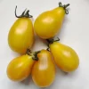 Tradera Trädgård & Växter<Tomatfrön Yellow Pearshaped tomat frö