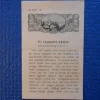 Tradera Ur lejonets käftar 1917> Religion & Livsåskådning